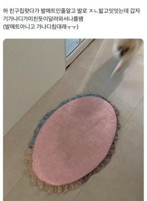17287506974519.jpg