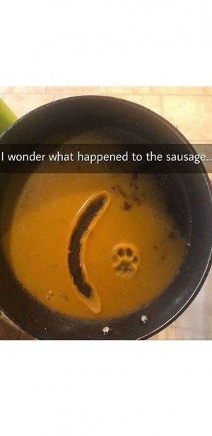 17293880703344.jpg