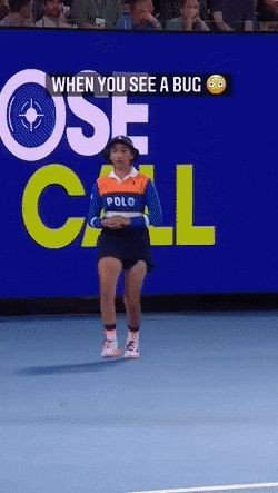 17293881444416.jpg