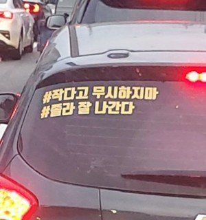 17303494921164.jpg