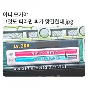 17303495081467.jpg