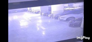 17312618366424.jpg
