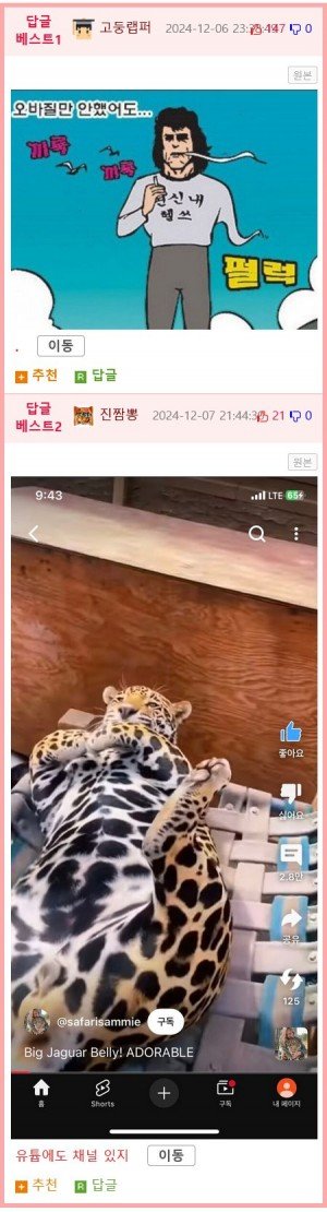 17336672318072.png