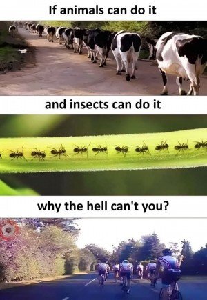 17383376836974.jpg