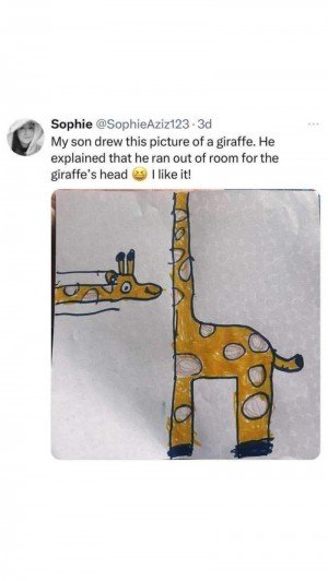 1738567620373.jpg