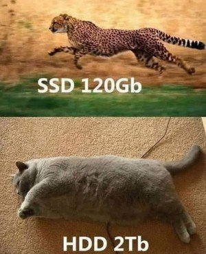 17387227285128.jpg