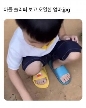 17394167096621.jpg