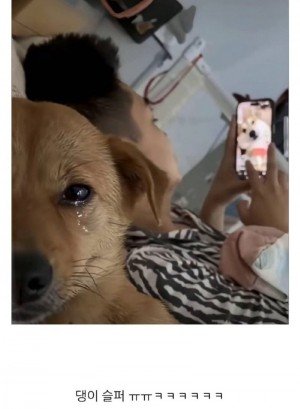 17395488238956.jpg