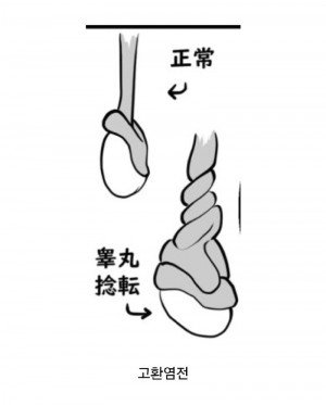 17401904050151.jpg