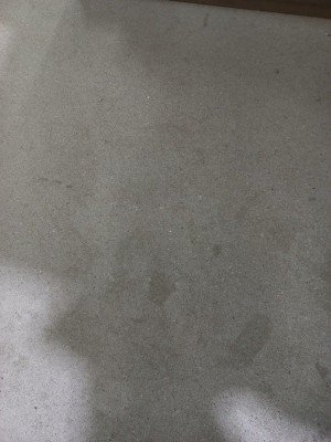 17404496693105.jpg