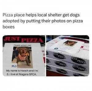 17415743265034.jpg