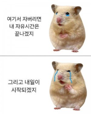 17417456950466.png