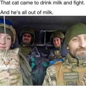17428685066163.jpg