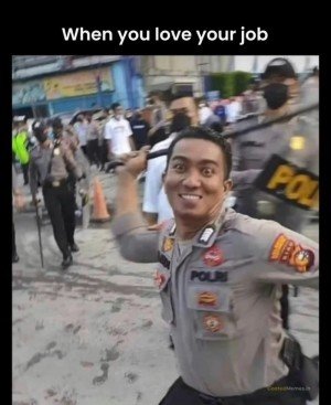 17438077375861.jpg